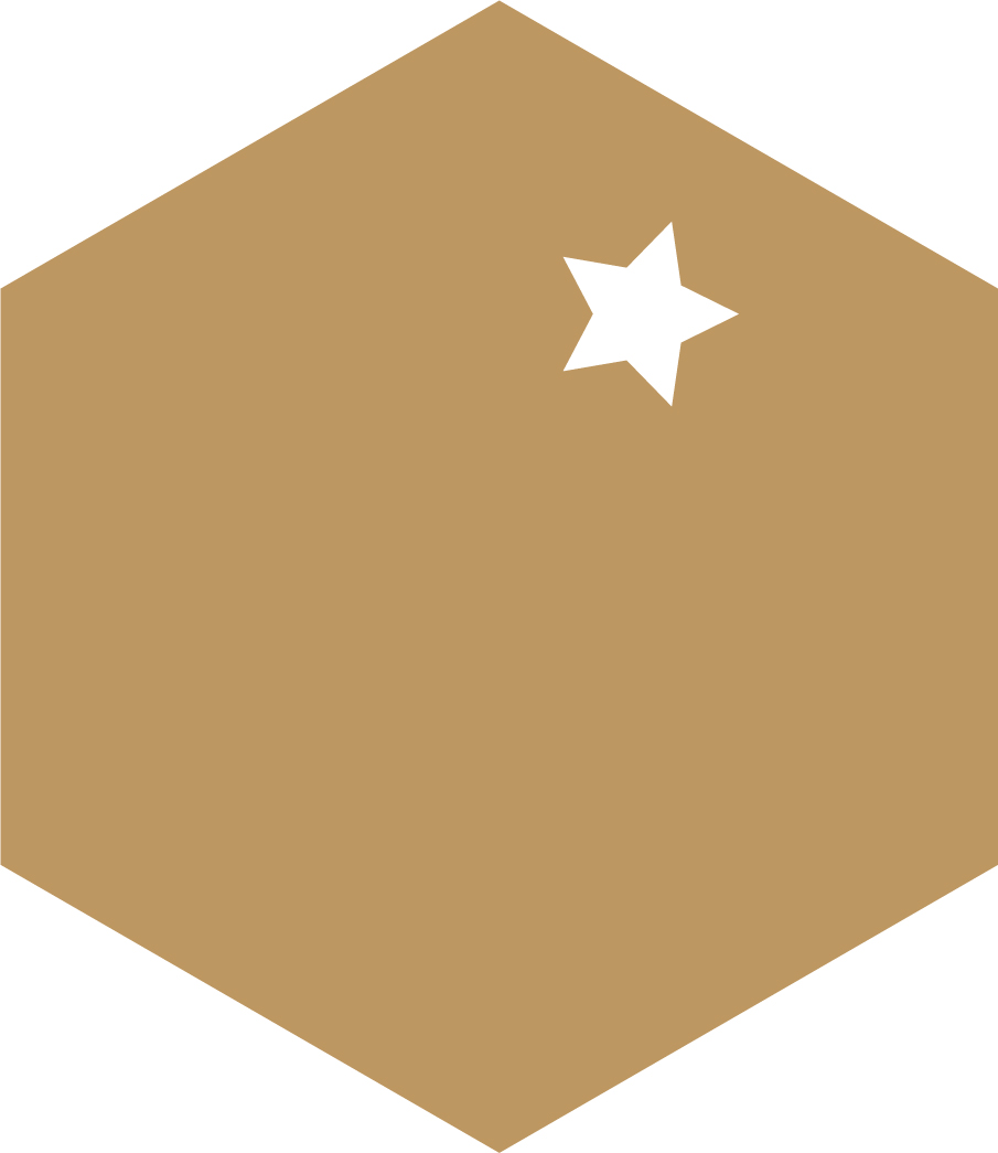 ESTRELA02
