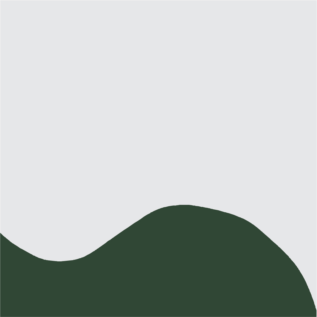 BURLE MARX4