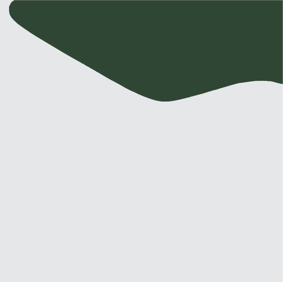 Ana Sawaia – Burle Marx1