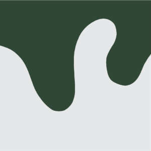 Ana Sawaia - Burle Marx2