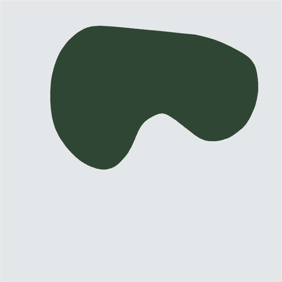 Ana Sawaia – Burle Marx3