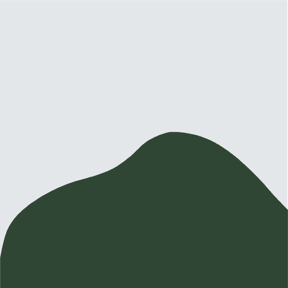 Ana Sawaia – Burle Marx4