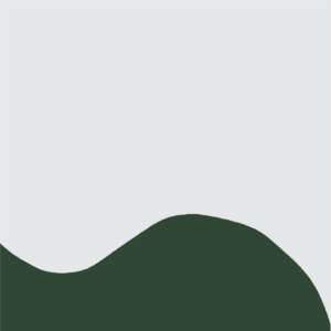Ana Sawaia - Burle Marx5