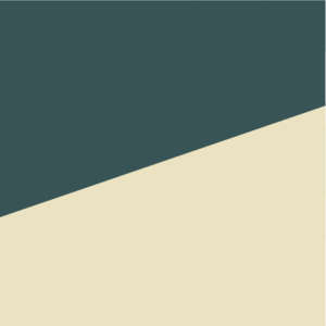 Laura Gorski - Viés 2