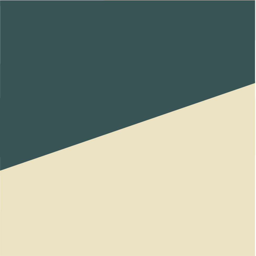 Laura Gorski – Viés 2