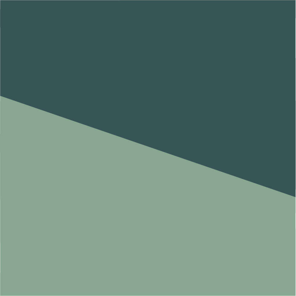 Laura Gorski – Viés 3